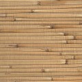 Tapeta Trzcina GBA30-005