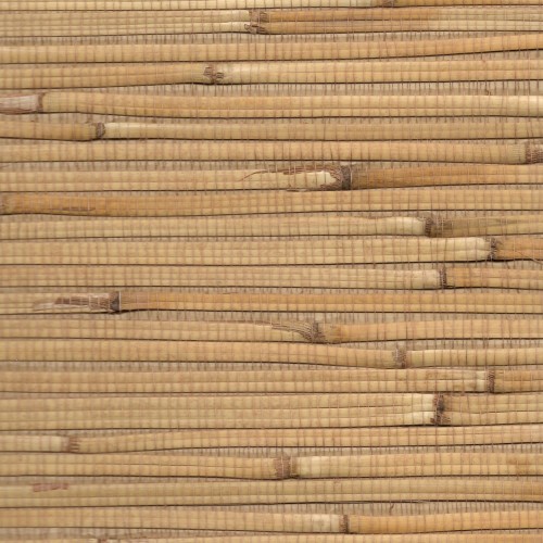 Tapeta Trzcina GBA30-005