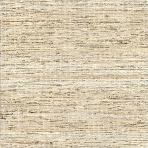 Tapeta naturalna Maranta Beige