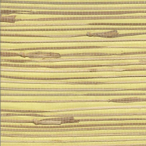 Tapeta Seegras Canary Bird GBA99-004