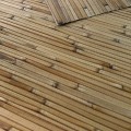 Tapeta Bambus-Design trzcina GBA30-005